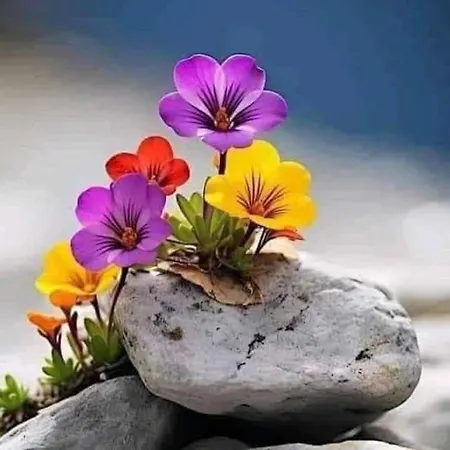 招待所 In Prior Velho Lisboa